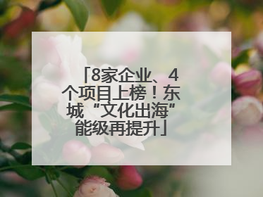 8家企业、4个项目上榜！东城“文化出海”能级再提升