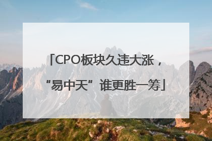 CPO板块久违大涨，“易中天”谁更胜一筹