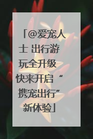 @爱宠人士 出行游玩全升级 快来开启“携宠出行”新体验
