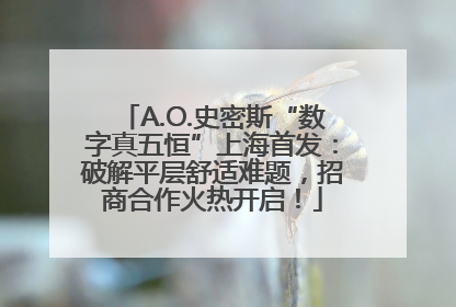 A.O.史密斯“数字真五恒”上海首发：破解平层舒适难题，招商合作火热开启！