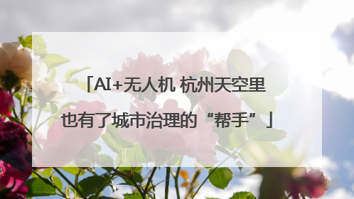 AI+无人机 杭州天空里也有了城市治理的“帮手”