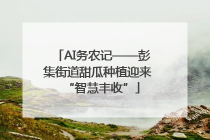 AI务农记——彭集街道甜瓜种植迎来“智慧丰收”