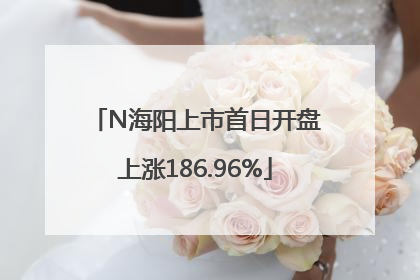 N海阳上市首日开盘上涨186.96%