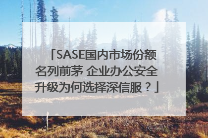 SASE国内市场份额名列前茅 企业办公安全升级为何选择深信服？
